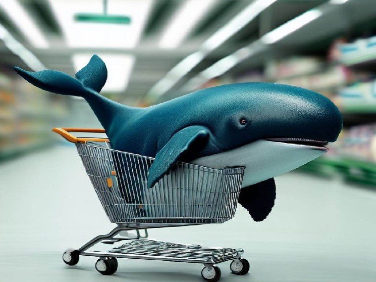There&rsquo;s Significant Whale Activity in Two Altcoins Today&mdash;Here Are Those Altcoins