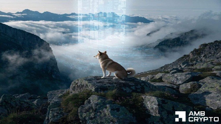 Here’s why Shiba Inu’s latest price hike might just be a bull trap Here’s why Shiba Inu’s latest price hike might just be a bull trap