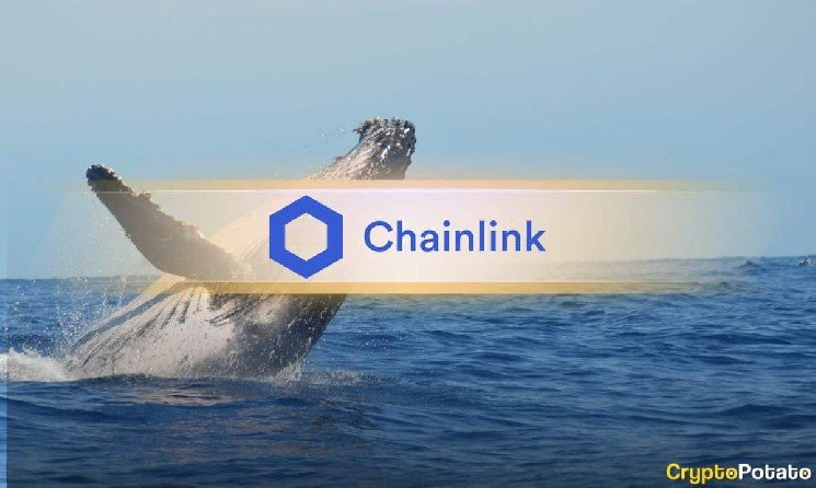 Chainlink Just Saw Its Biggest Exchange Outflow Since June &ndash; Bulls Are Watching
