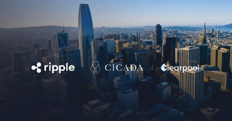 Ripple, Clearpool, and Cicada team up to build new credit rails on XRPL Ripple, Clearpool, and Cicada team up to build new credit rails on XRPL