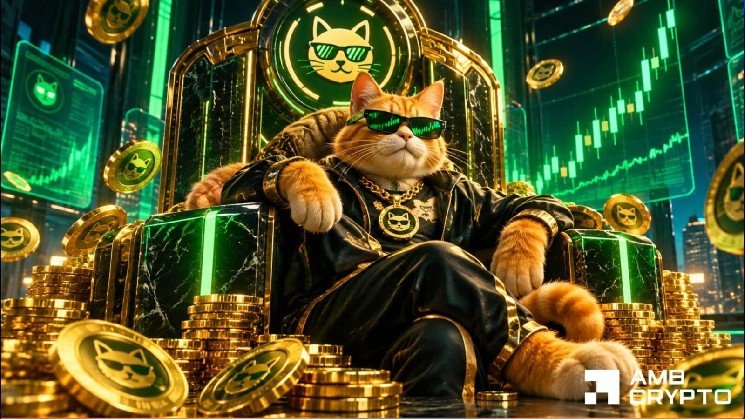 CASHCAT jumps 22% as whale buys 16M tokens &ndash; Is $0.108 next?