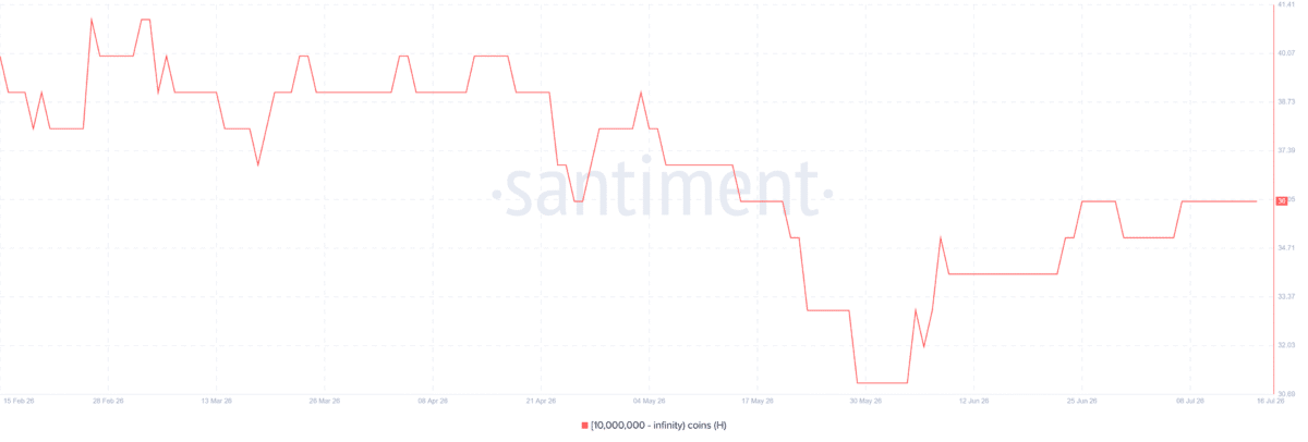 Humanity eyes $0.33 as whale wallets grow &ndash; H rally at risk IF&hellip;