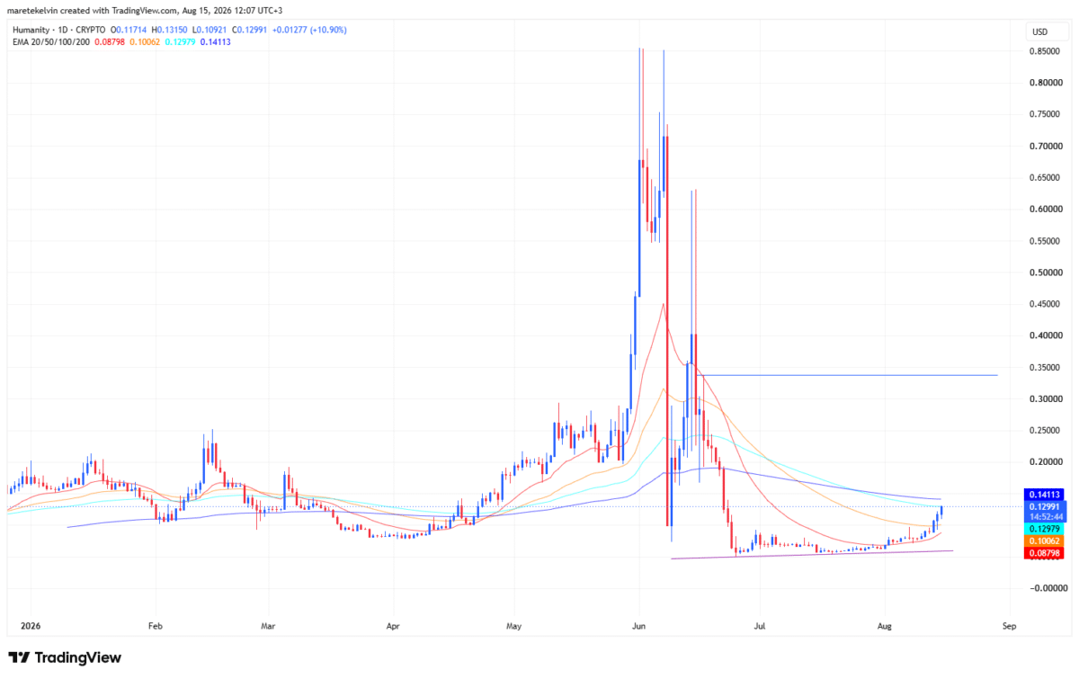 Humanity eyes $0.33 as whale wallets grow &ndash; H rally at risk IF&hellip;