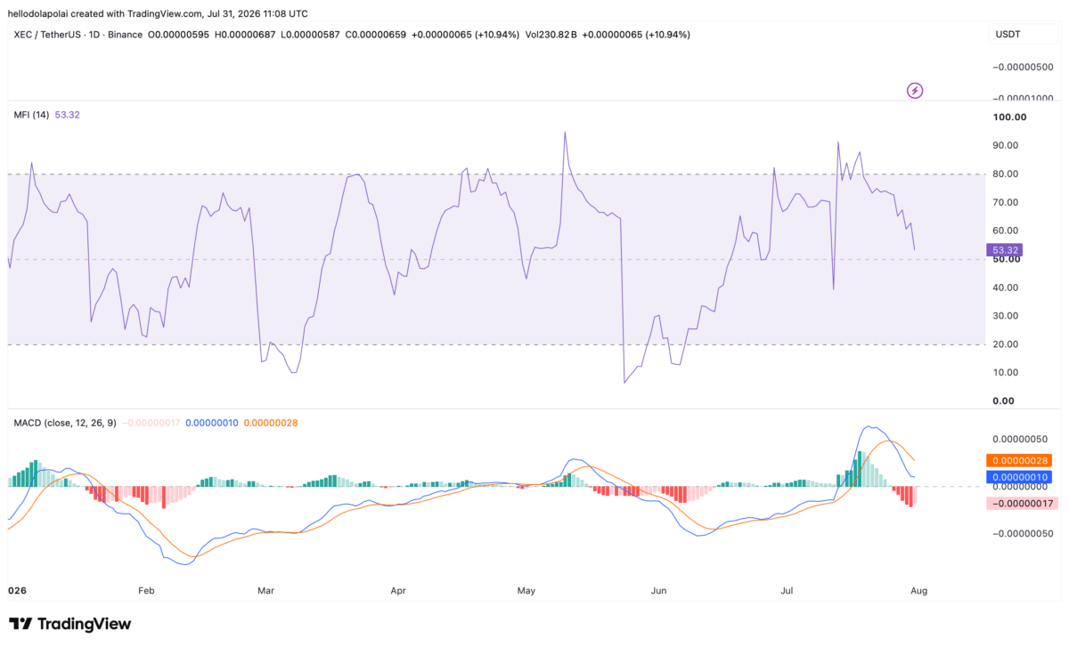 Here&rsquo;s why XEC&rsquo;s 40% hike comes with a clear warning for traders!