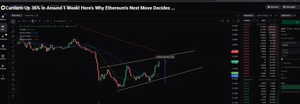 Why Cardano Price Is Rising Today