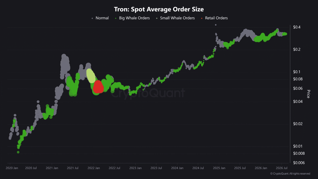 TRON&rsquo;s revenue hits $37.8M as whale orders grow: Can TRX break out next?
