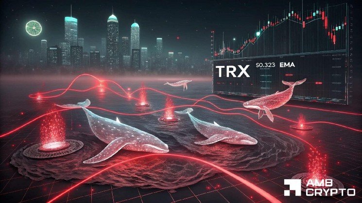 TRON&rsquo;s revenue hits $37.8M as whale orders grow: Can TRX break out next?