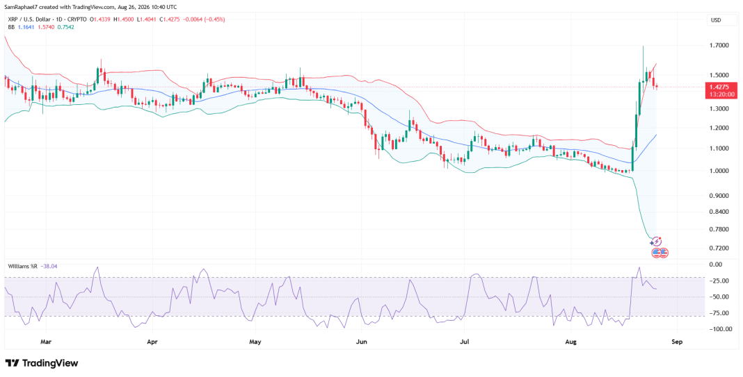 Has the XRP Rally Come to an End or Is the Current Pullback Merely a Pause?