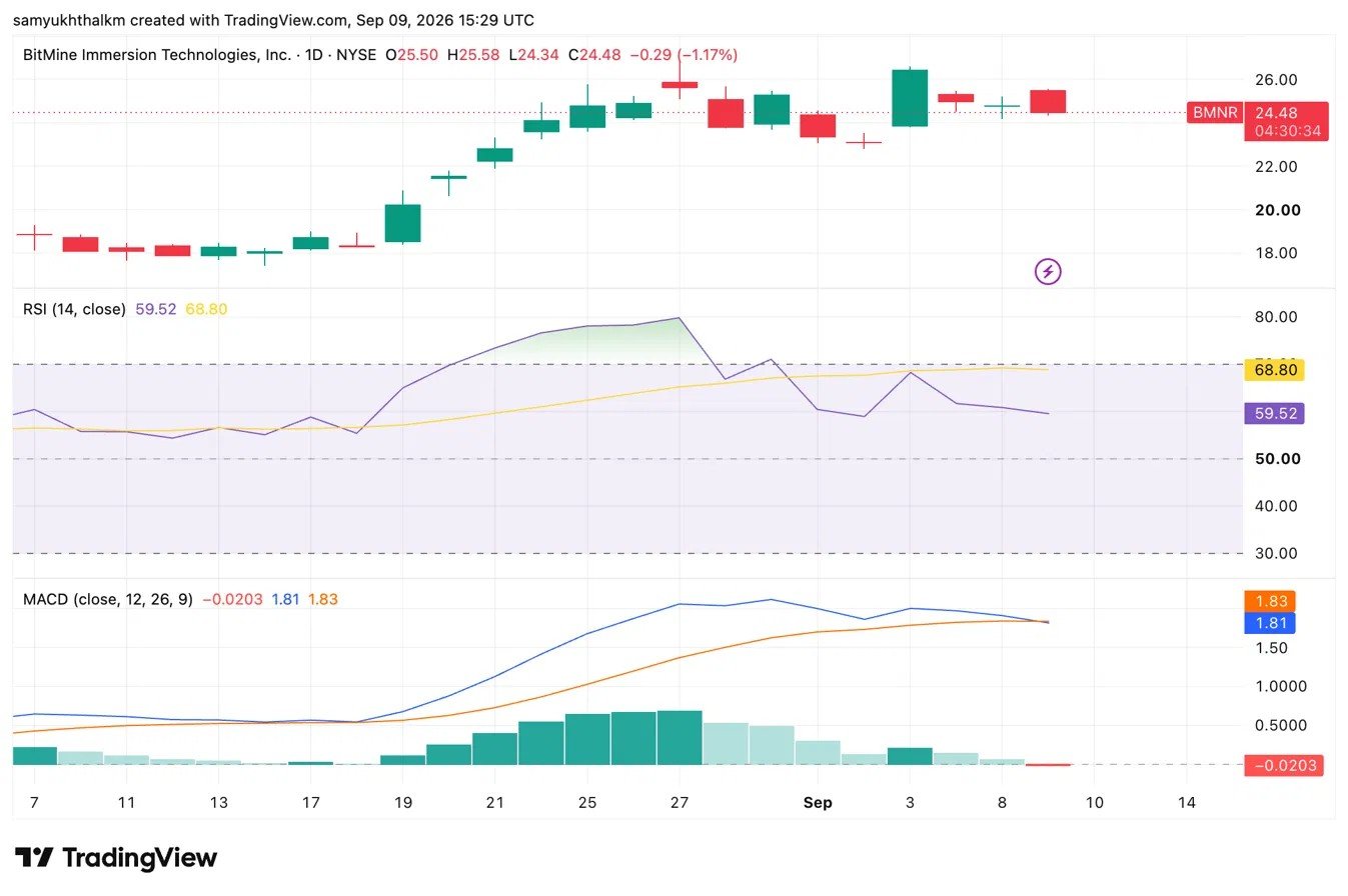 BitMine now holds 5.93M ETH &mdash; What does it mean for BMNR stock?