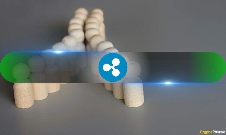 XRP&rsquo;s Next Move Comes Down to These Key Price Levels: Analyst