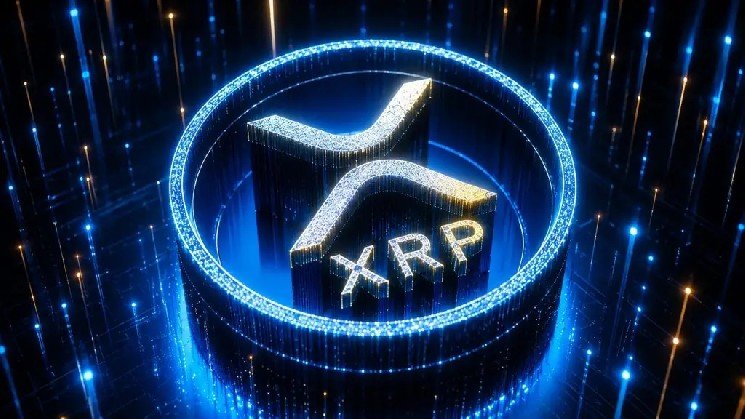 Wall Street Flocks to XRP! Bloomberg Analyst Reveals Critical Findings and Top XRP Investors!