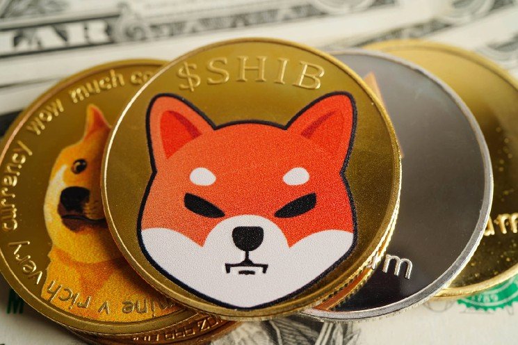 Ethereum's $3,000 Push Signals Anomalous Shiba Inu (SHIB) Netflow Across Tier-1 Exchanges Ethereum's $3,000 Push Signals Anomalous Shiba Inu (SHIB) Netflow Across Tier-1 Exchanges