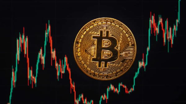 Bitcoin Price Down: Analysis Firm Reveals the First Support Level to Watch Going Forward