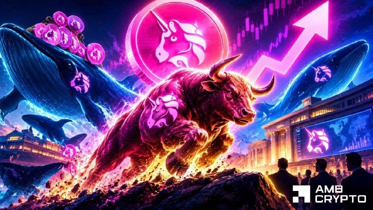 Uniswap [UNI] jumps 11% to 8 month high &ndash; But THESE 2 metrics warn of pullback